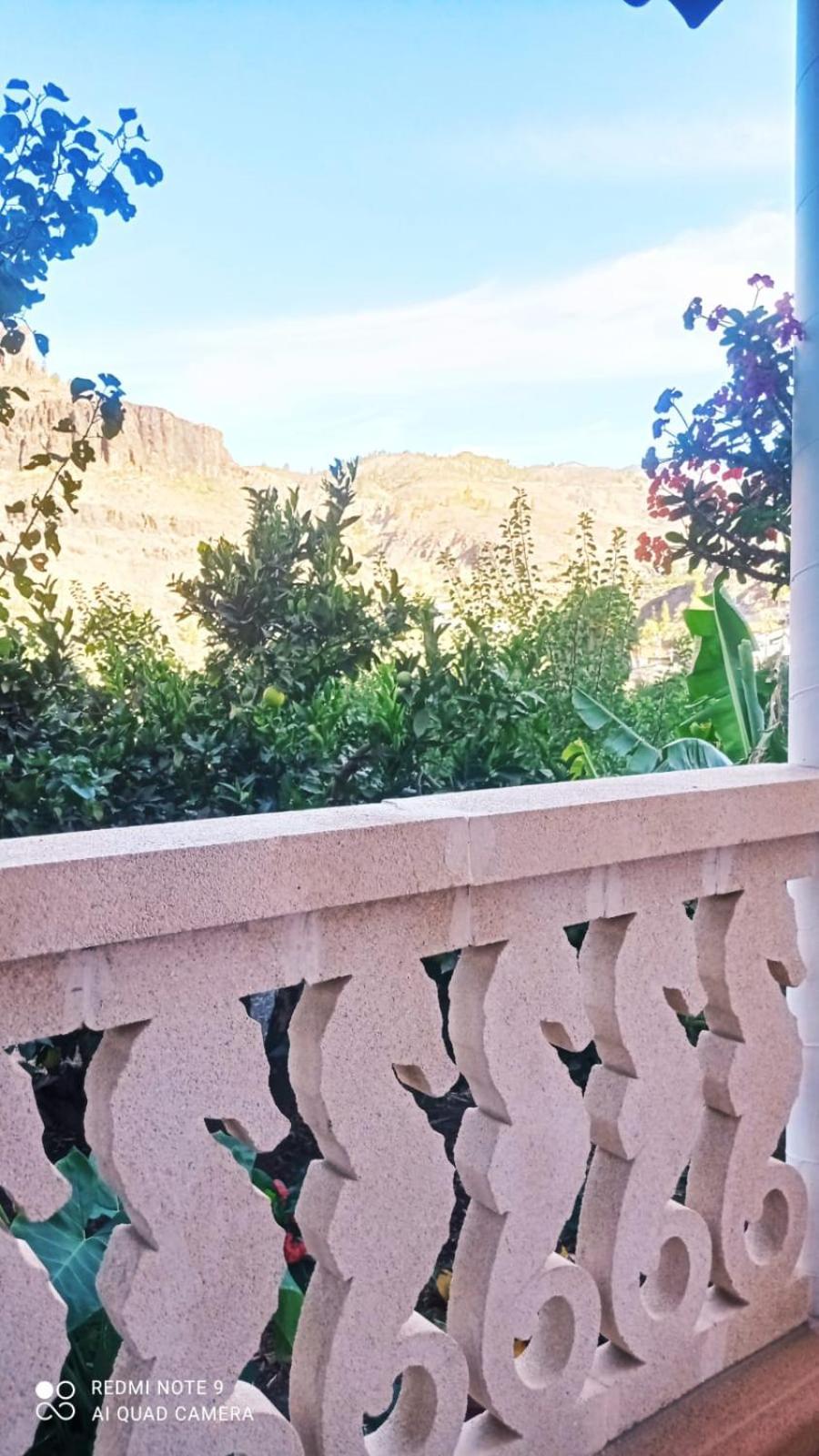Casa Reyes Fataga Apta Reyes 部屋 写真
